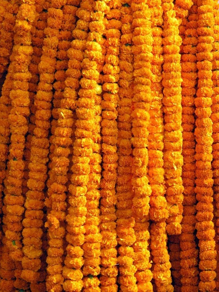 Sayapatri Flowers for Tihar